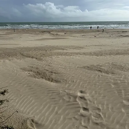 Au Pacific Avec Jardin A 3 Mn Des Plages Lägenhet *
